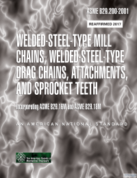 ASME B29.200 PDF