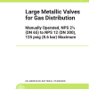 ASME B16.38 PDF