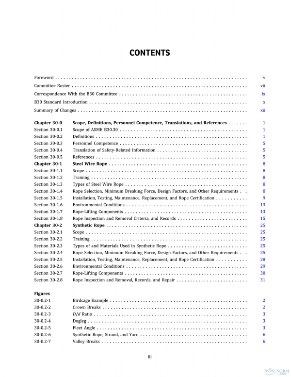 ASME B30.30 PDF