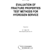 ASME STP-PT-064 PDF