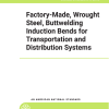 ASME B16.49 PDF
