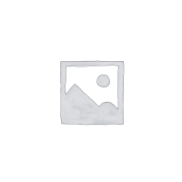 ANS/ASME-58.22 PDF